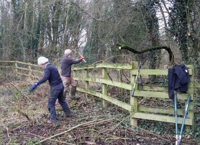 Fence line clearing - Clara Vale Nature Reserve