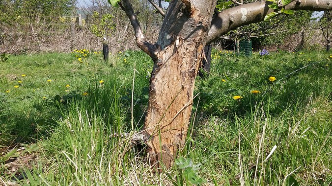 20160508_123413 (1)_web